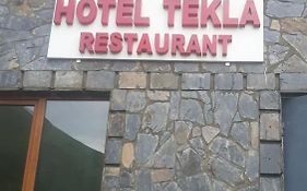 Hotel Tekla